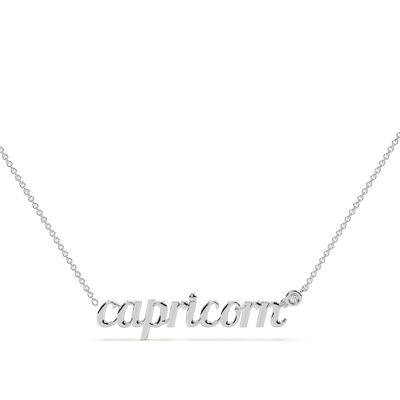 Capricorn Solitaire Necklace